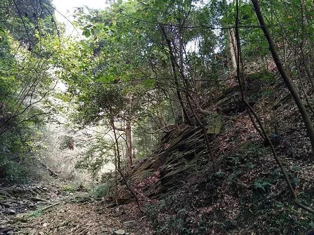 重拳丨银川市开展专项整治，涉及9个领域！